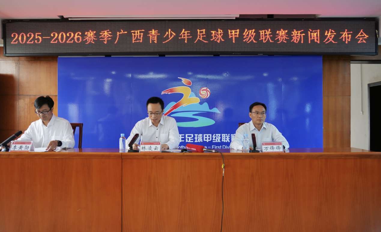 事联动性和, 足球裁判员, 球员表现 事联动性和, 足球裁判员, 球员表现